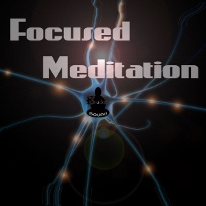 Focused Meditation